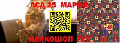 apvp Будённовск