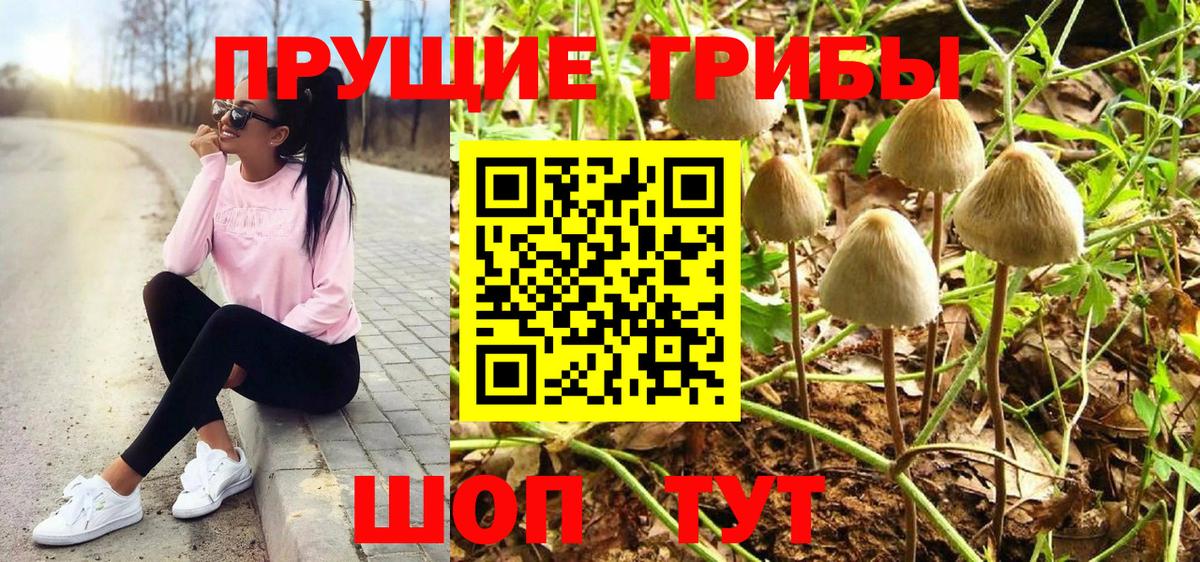 Галлюциногенные грибы MAGIC MUSHROOMS Бахчисарай